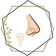 دسترسی به سوالات متداول